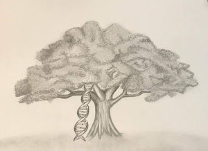 Meet your Posher, Shawna